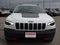 2020 Jeep Cherokee Trailhawk 4x4
