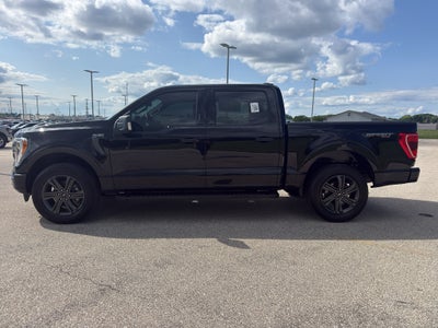 2023 Ford F-150 XLT 4WD SuperCrew 5.5' Box