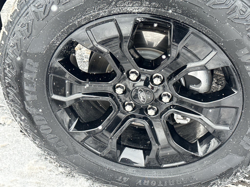 2023 Ford F-150 XLT 4WD SuperCrew 5.5' Box