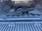 2024 Nissan Frontier Crew Cab 4x4 SL