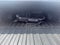 2022 Chevrolet Silverado 1500 Crew Cab Short Box 4-Wheel Drive LT 1LT
