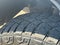 2023 Chevrolet Silverado 1500 Crew Cab Short Box 4-Wheel Drive LT Trail Boss