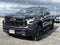2023 Chevrolet Silverado 1500 Crew Cab Short Box 4-Wheel Drive LT Trail Boss