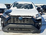 2021 Toyota RAV4 Hybrid XLE AWD (Natl)