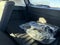 2026 Nissan Rogue 2026.5 AWD Rock Creek
