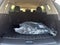 2026 Nissan Rogue 2026.5 AWD Rock Creek