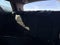 2026 Nissan Pathfinder Rock Creek 4WD