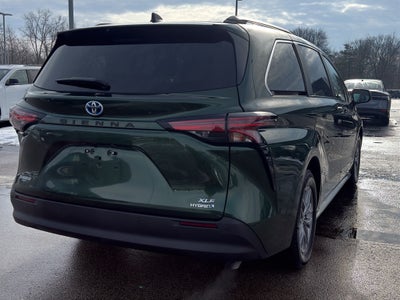 2021 Toyota Sienna XLE FWD 8-Passenger (Natl)